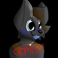Profile picture jojoyo555.bsky.social