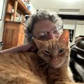 Profile picture mcqueenbee.bsky.social