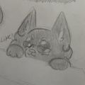 Profile picture lilacnekonoir.bsky.social