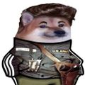 Profile picture docmcdoom.bsky.social