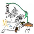 Profile picture mayerllab.bsky.social