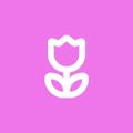 Profile picture jooll.bsky.social