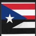 Profile picture tdr4pr.bsky.social