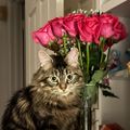 Profile picture madas.bsky.social
