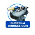 Profile picture guerillacricket.bsky.social