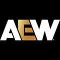 Profile picture allelitewrestling.com