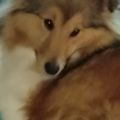 Profile picture hvorvanskelig.bsky.social