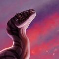 Profile picture raptor.on.computer