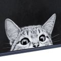Profile picture filouchon.bsky.social