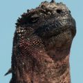 Profile picture lethorio.bsky.social