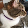 Profile picture janomalley3.bsky.social