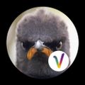Profile picture anonymouslp.bsky.social