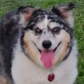 Profile picture lucyloveswine.bsky.social