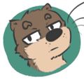 Profile picture otterflops.bsky.social