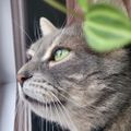 Profile picture mart10.bsky.social