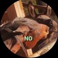 Profile picture jnxouaquaga.bsky.social
