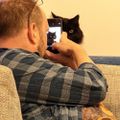 Profile picture not-reversible.bsky.social