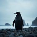 Profile picture lvl9000penguin.bsky.social