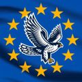 Profile picture falconarius.bsky.social