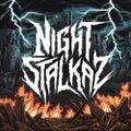 Profile picture nightstalkaz.bsky.social