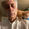 Profile picture furgiuele.bsky.social