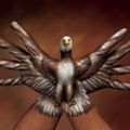 Profile picture nortonsmom.bsky.social