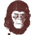 Profile picture cornelius23.bsky.social