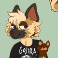 Profile picture mavhound23.bsky.social
