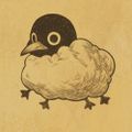 Profile picture aelestial.bsky.social
