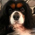 Profile picture annraggedy.bsky.social