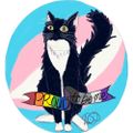 Profile picture drumlinekat.bsky.social