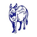Profile picture short-reads.org