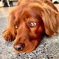 Profile picture mikerichard80.bsky.social