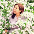 Profile picture aklim08.bsky.social