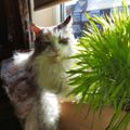 Profile picture bmacken.bsky.social