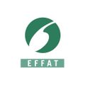 Profile picture effat.org