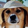 Profile picture peterllewellyn.bsky.social