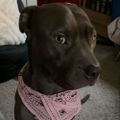 Profile picture ladylinds.bsky.social