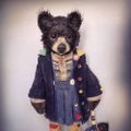 Profile picture xoboytoy.bsky.social
