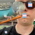 Profile picture mjbsp.bsky.social
