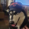 Profile picture baller11.bsky.social