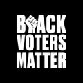 Profile picture blackvotersmatterfund.org