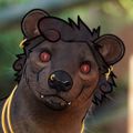 Profile picture poppafossa.bsky.social