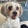 Profile picture darcie5.bsky.social