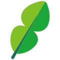 Profile picture limeleaf.coop