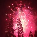 Profile picture alannabeckwith.bsky.social