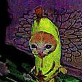 Profile picture defnotabanana.bsky.social