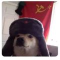 Profile picture adventnebula.bsky.social