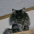Profile picture whimsyb.bsky.social