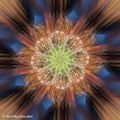 Profile picture alanzucker.bsky.social